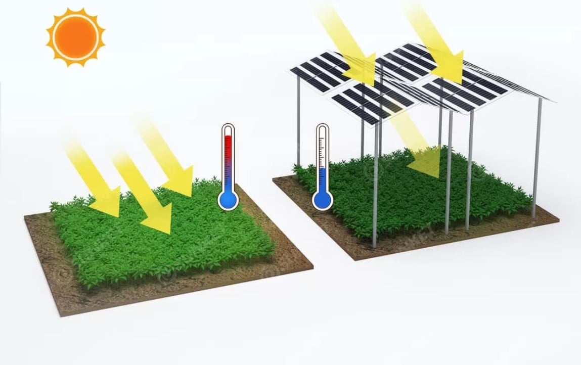 Xsunket 320w 1.jpg.pagespeed.ic.ajuuaolp86